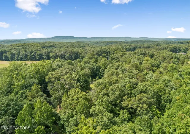 18th image of Ridge Rd, Lancing, TN 37770 | MLS# 1347855