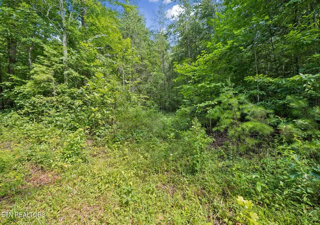 2nd image of Ridge Rd, Lancing, TN 37770 | MLS# 1347855