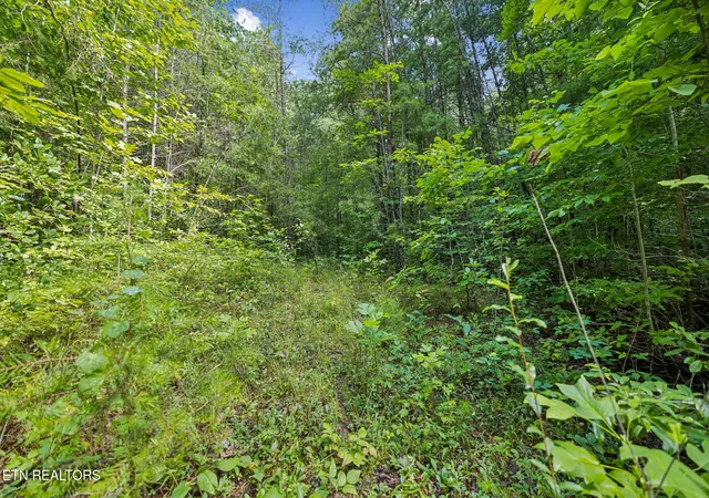 3rd image of Ridge Rd, Lancing, TN 37770 | MLS# 1347855