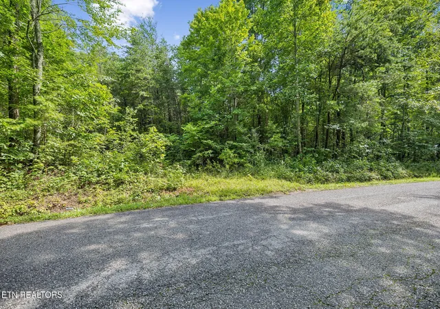 4th image of Ridge Rd, Lancing, TN 37770 | MLS# 1347855