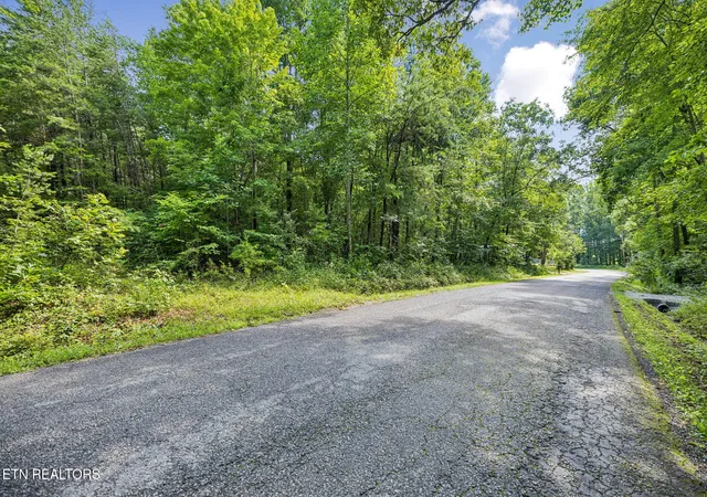 5th image of Ridge Rd, Lancing, TN 37770 | MLS# 1347855