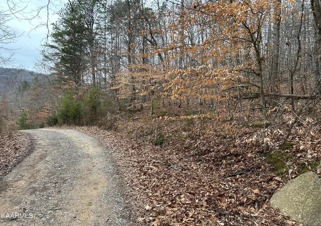 Homes for sale in Sneedville, TN | 5271 Vardy Blackwater Rd, Sneedville, TN 37869 | MLS# 1347582