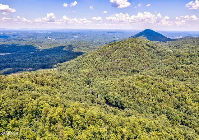 2nd image of Reagan Springs Rd, Seymour, TN 37865 | MLS# 1348161