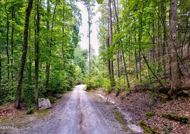 Photo 3 of Land for sale at Reagan Springs Rd, Seymour, TN 37865 | MLS# 1348161 | Listing updated on 2026-07-19