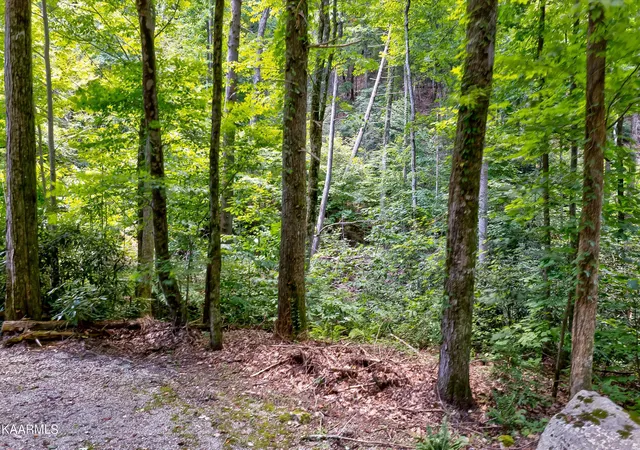 Photo 3 of Land for sale at Reagan Springs Rd, Seymour, TN 37865 | MLS# 1348161 | Listing updated on 2026-07-19
