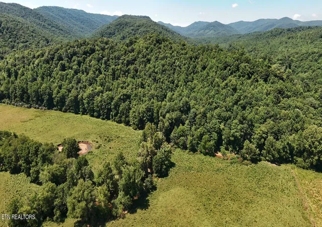 Homes for sale in Robbins, TN | 0 Brimstone Rd, Robbins, TN 37852 | MLS# 1347711