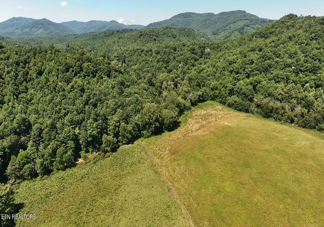 Homes for sale in Robbins, TN | 0 Brimstone Rd, Robbins, TN 37852 | MLS# 1347711