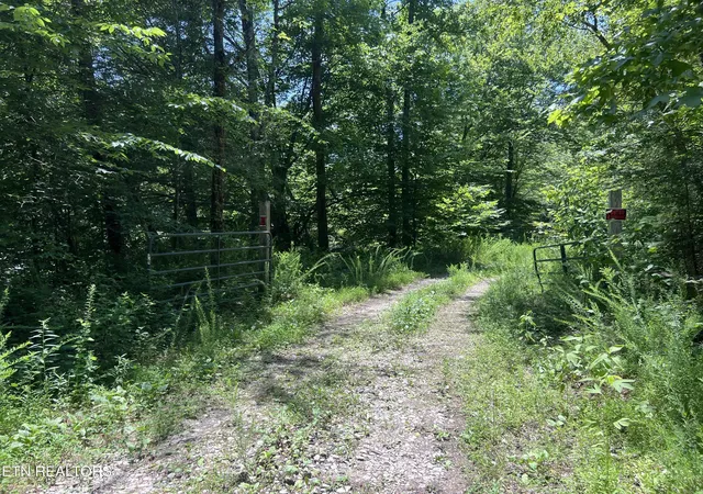 Homes for sale in Robbins, TN | 0 Brimstone Rd, Robbins, TN 37852 | MLS# 1347711