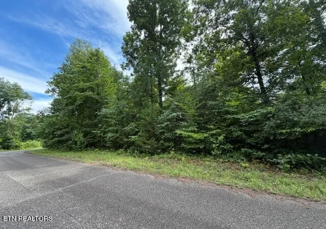 2nd image of Saddleridge Dr Dr, Speedwell, TN 37870 | MLS# 1348091
