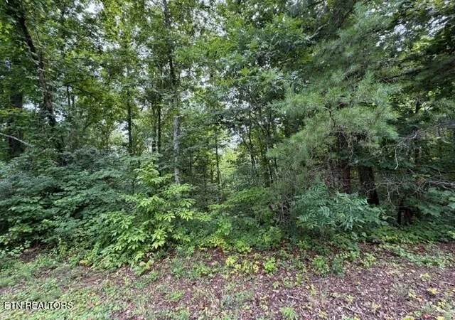 5th image of Saddleridge Dr Dr, Speedwell, TN 37870 | MLS# 1348091