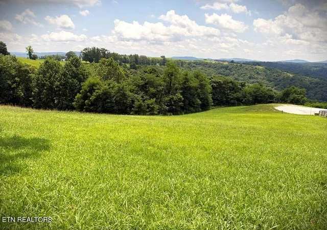 4th image of 24B Bluegill Ln, Hilham, TN 38568 | MLS# 1347768