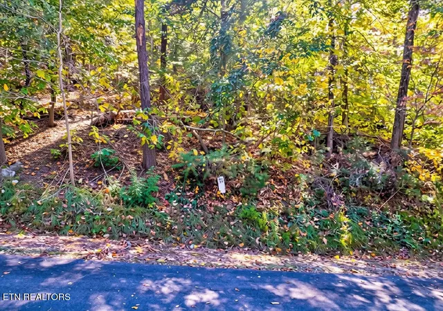 3rd image of Lot 39 Five Oaks Cir, Whitesburg, TN 37891 | MLS# 1347737