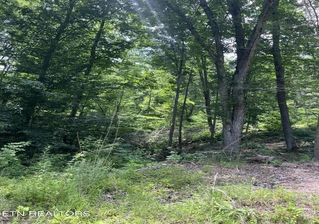 Photo 3 of Land for sale at Tower Rd, Tazewell, TN 37879 | MLS# 1347765 | Listing updated on 2026-07-20