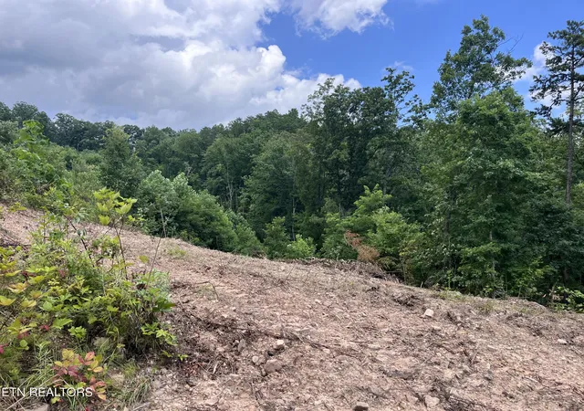 Photo 3 of Land for sale at Tower Rd, Tazewell, TN 37879 | MLS# 1347765 | Listing updated on 2026-07-20