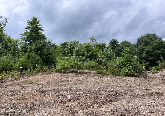 Photo 4 of Land for sale at Tower Rd, Tazewell, TN 37879 | MLS# 1347765 | Listing updated on 2026-07-20