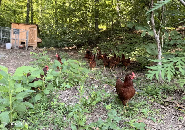 Photo 3 of Single family home for sale at 4194 Little Sycamore Rd, Tazewell, TN 37879 | MLS# 1347795 | Listing updated on 2026-07-29