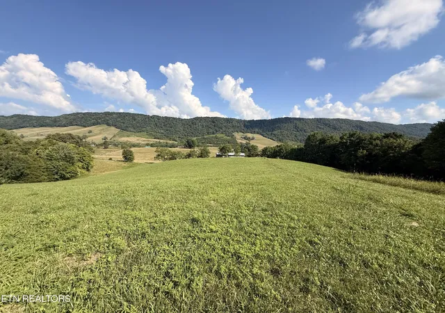 42nd image of 4194 Little Sycamore Rd, Tazewell, TN 37879 | MLS# 1347795