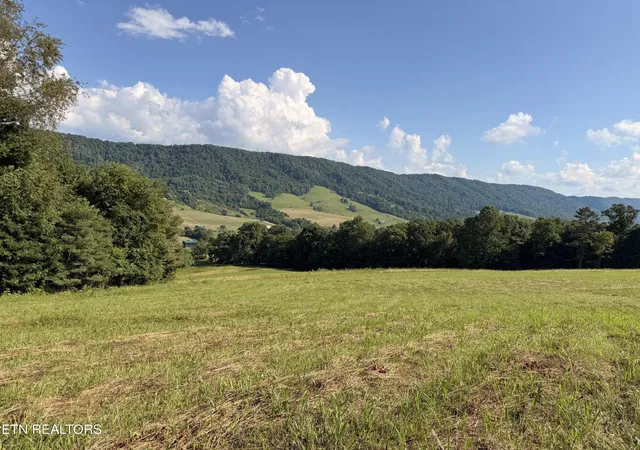 Photo 4 of Single family home for sale at 4194 Little Sycamore Rd, Tazewell, TN 37879 | MLS# 1347795 | Listing updated on 2026-07-29