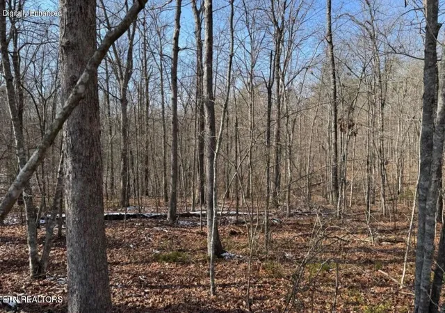 2nd image of Belmont Cir, Monterey, TN 38574 | MLS# 1347840
