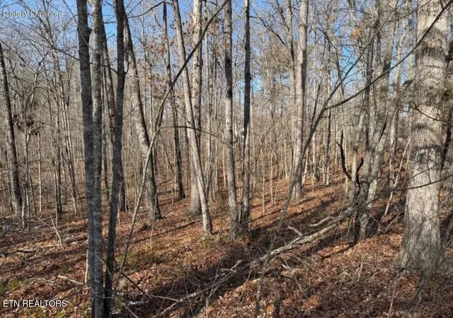 3rd image of Belmont Cir, Monterey, TN 38574 | MLS# 1347840