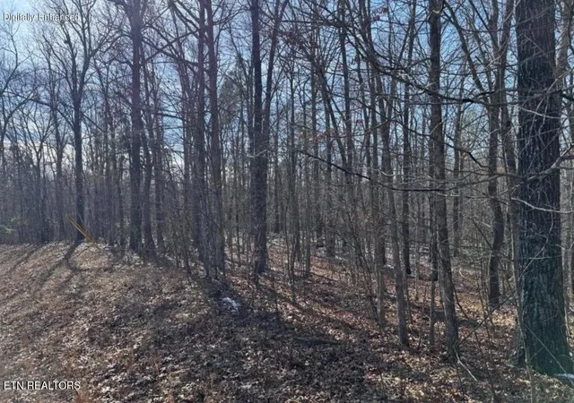 4th image of Belmont Cir, Monterey, TN 38574 | MLS# 1347840