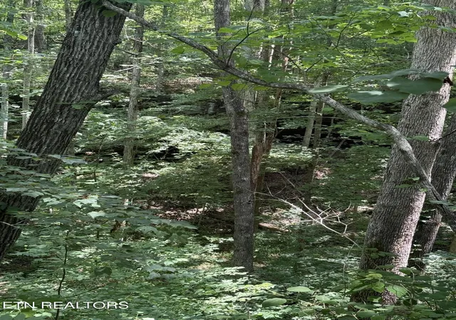 14th image of 0 Wilder Hwy, Wilder, TN 38589 | MLS# 1347846