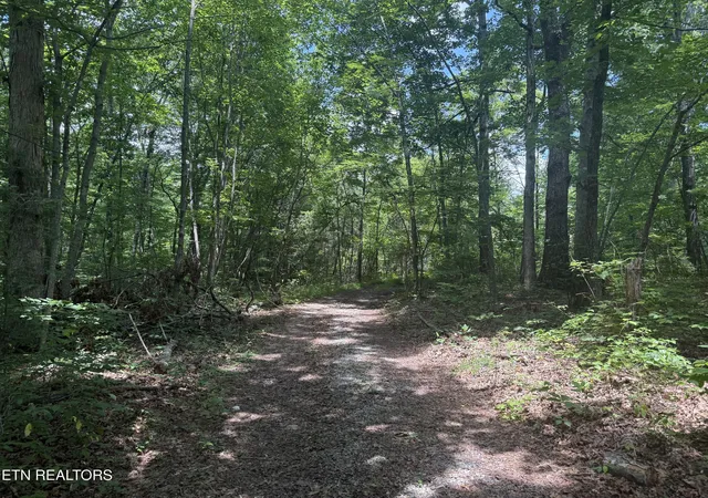 3rd image of 0 Wilder Hwy, Wilder, TN 38589 | MLS# 1347846