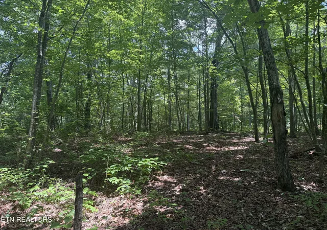 5th image of 0 Wilder Hwy, Wilder, TN 38589 | MLS# 1347846