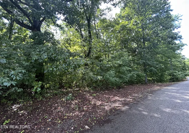 3rd image of Butterfly Cove Tr #Lot 92, Decatur, TN 37322 | MLS# 1347892