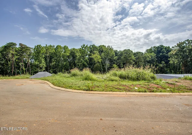 2nd image of 1114 Sophie Dr, Greenback, TN 37742 | MLS# 1348011