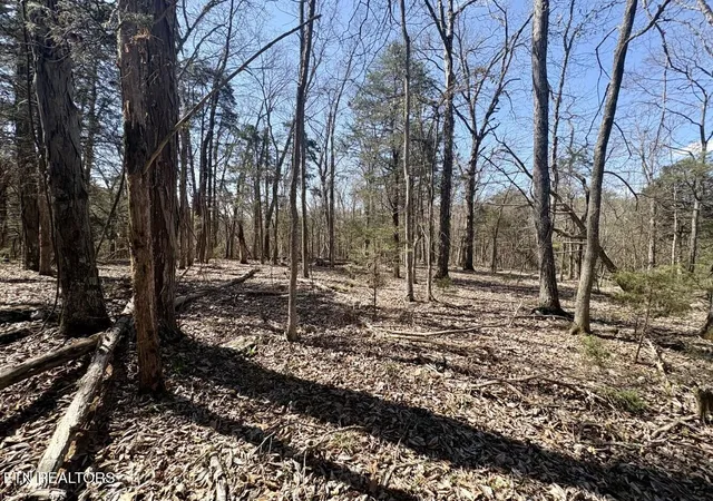 16th image of 456 Geisler Rd, Piney Flats, TN 37686 | MLS# 1348008