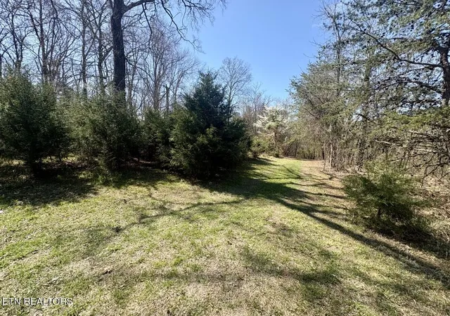 4th image of 456 Geisler Rd, Piney Flats, TN 37686 | MLS# 1348008