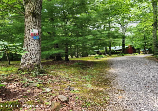 3rd image of 108 Goldminers Rd, Tellico Plains, TN 37385 | MLS# 1348042