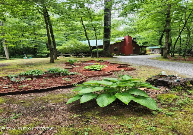 2nd image of 108 Goldminers Rd, Tellico Plains, TN 37385 | MLS# 1348042
