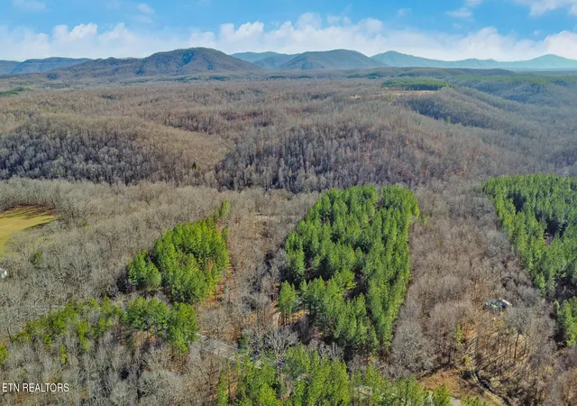 17th image of 0 Morgan County Hwy, Sunbright, TN 37872 | MLS# 1348098