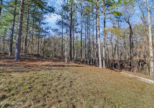 2nd image of 0 Morgan County Hwy, Sunbright, TN 37872 | MLS# 1348098