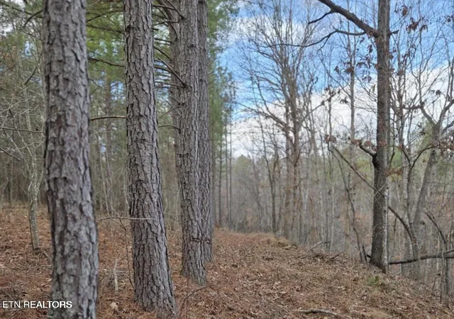Photo 3 of Land for sale at 0 Us 27, Sunbright, TN 37872 | MLS# 1348098 | Listing updated on 2026-08-26