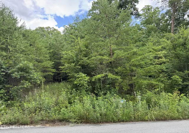Homes for sale in Bean Station, TN | 49 Bayside Blvd, Bean Station, TN 37708 | MLS# 1348164