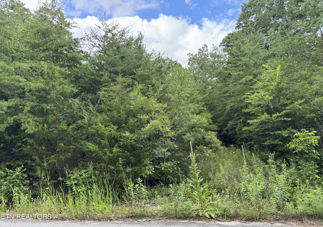 Homes for sale in Bean Station, TN | 49 Bayside Blvd, Bean Station, TN 37708 | MLS# 1348164