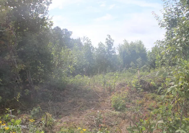 Photo 1 of Land for sale at 2058 Pickett Park Hwy, Jamestown, TN 38556 | MLS# 1348131 | Listing updated on 2026-07-14