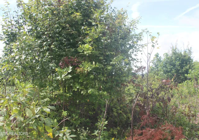 Photo 2 of Land for sale at 2058 Pickett Park Hwy, Jamestown, TN 38556 | MLS# 1348131 | Listing updated on 2026-07-14