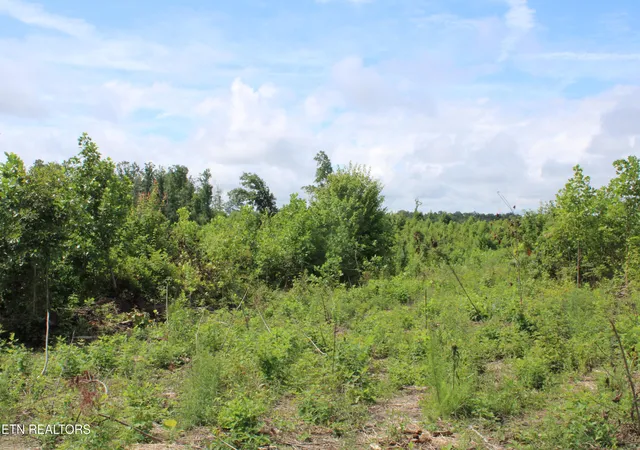 Photo 4 of Land for sale at 2058 Pickett Park Hwy, Jamestown, TN 38556 | MLS# 1348131 | Listing updated on 2026-07-14