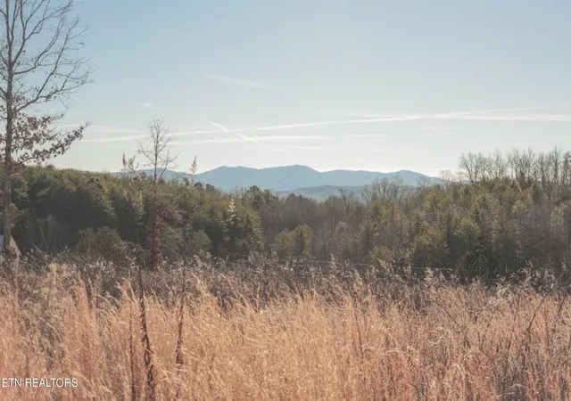 1st image of Lot 10 & 11 Curtis Rd, Tellico Plains, TN 37385 | MLS# 1348135
