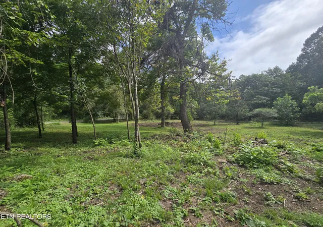 17th image of 0 Valley Spring Rd, Rose Hill, VA 24281 | MLS# 1349487