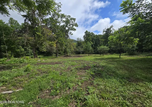 1st image of 0 Valley Spring Rd, Rose Hill, VA 24281 | MLS# 1349487