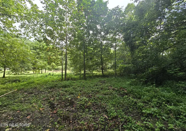 Photo 3 of Sale Pending at 0 Valley Spring Rd, Rose Hill, VA 24281 | MLS# 1349487 | Listing updated on 2026-09-15