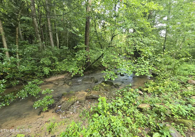 Photo 4 of Sale Pending at 0 Valley Spring Rd, Rose Hill, VA 24281 | MLS# 1349487 | Listing updated on 2026-09-15