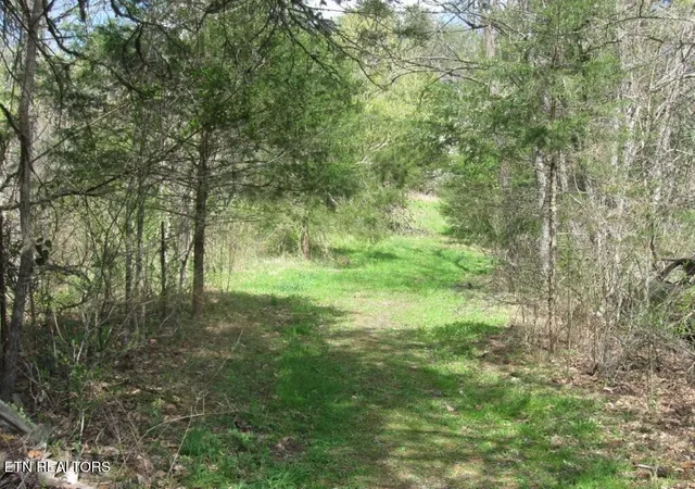 Photo 2 of Land for sale at Carlos Rd, Sneedville, TN 37869 | MLS# 1350919 | Listing updated on 2026-08-28