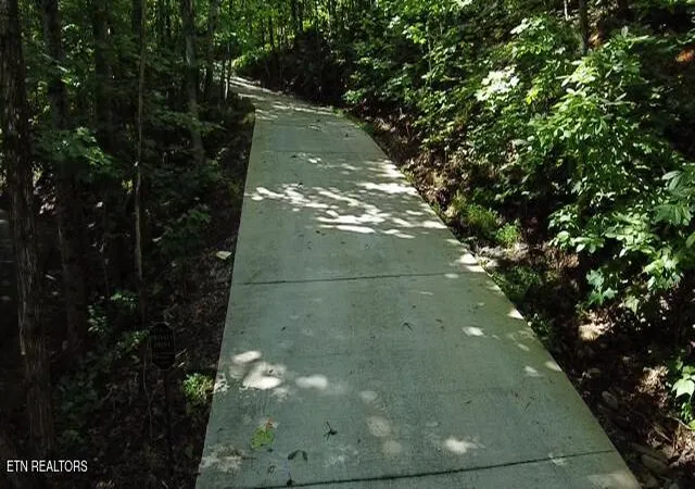 11th image of 120 Greystone Wy, Townsend, TN 37882 | MLS# 1352612