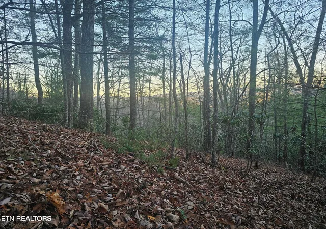 Photo 4 of Land for sale at 120 Greystone Wy, Townsend, TN 37882 | MLS# 1352612 | Listing updated on 2026-08-21